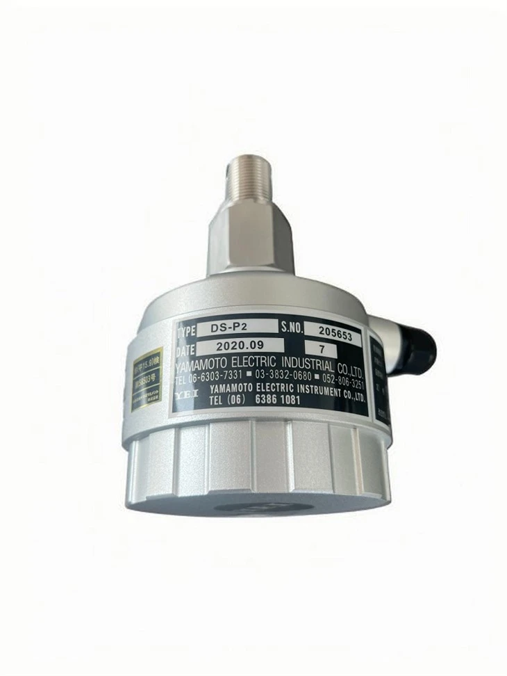DS-P2 DETECTOR